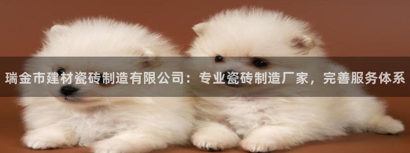 杏鑫平台念7O777