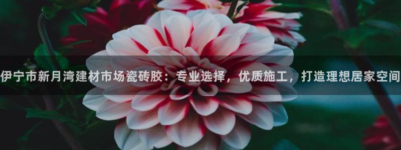 杏鑫平台怎么样知乎