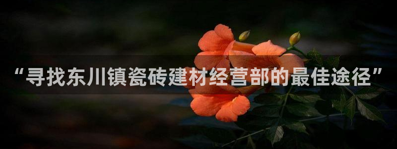 杏鑫官网注册账号怎么注册不了
