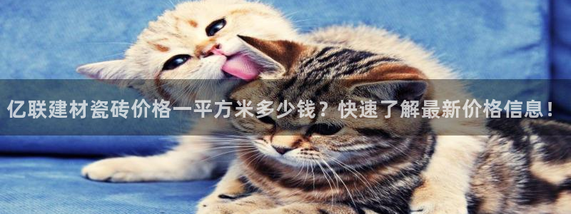 杏鑫3主管