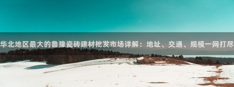 杏鑫官网最新信息新闻