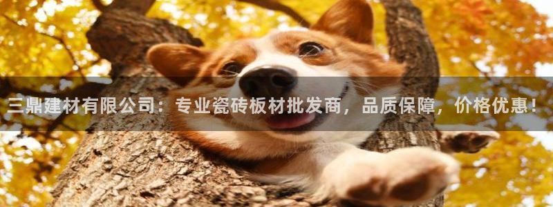 杏鑫娱乐是合法的吗是真的吗