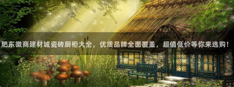 杏鑫招商总代
