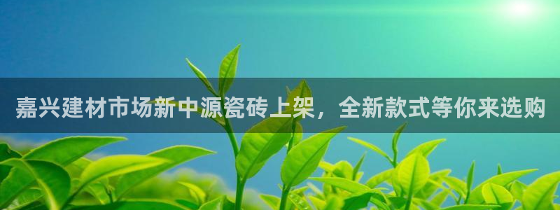杏鑫主管