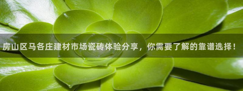 杏鑫官方平台怎么样