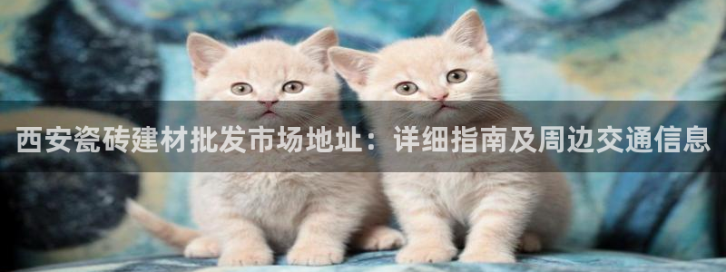 杏鑫平台代理怎么做的