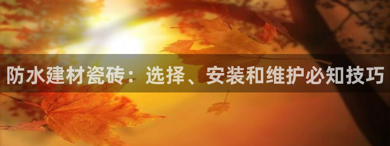 杏鑫官网最新信息