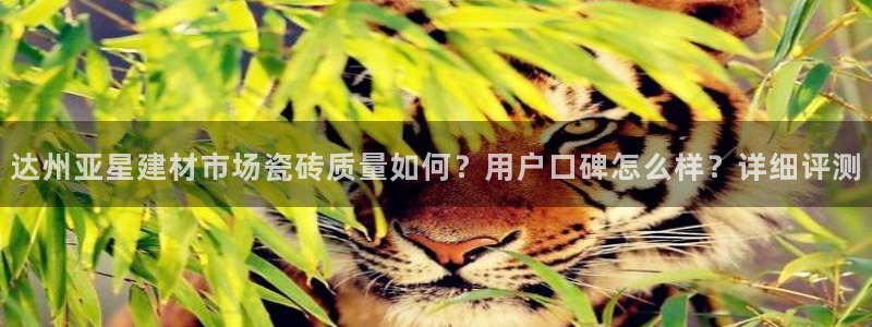 杏鑫注册登录网址是什么