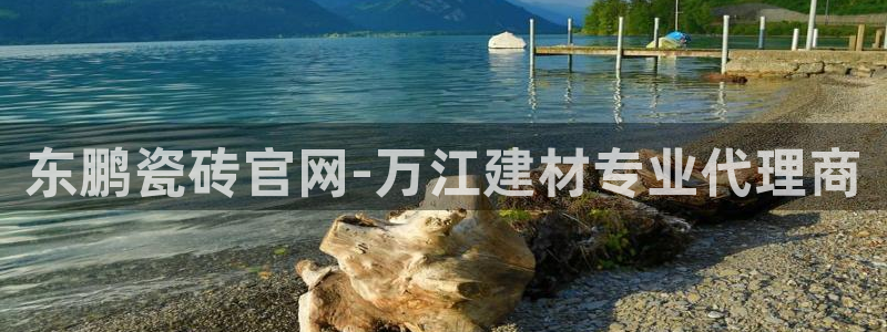 杏鑫平台在线注册流程