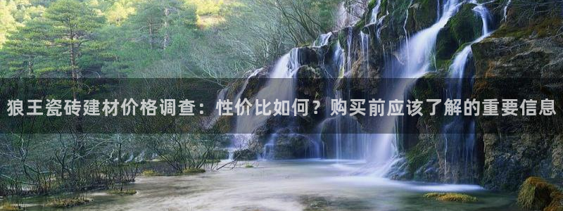 杏鑫3主管