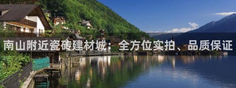 杏鑫主管