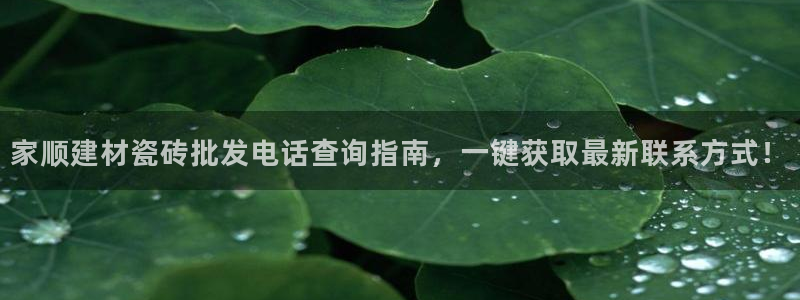 杏鑫代理注册平台