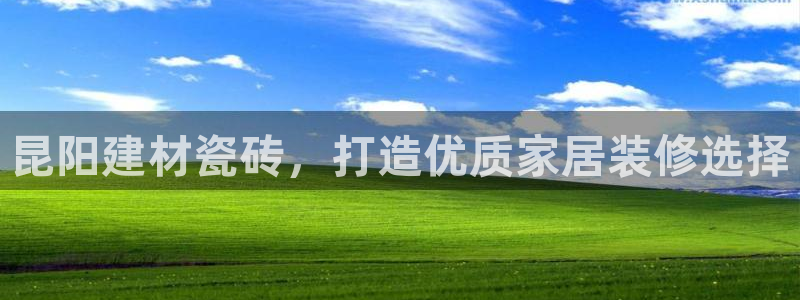 杏鑫官网最新信息新闻