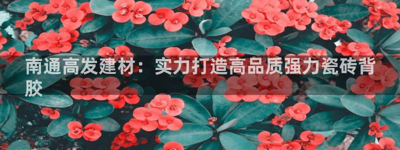 杏鑫平台招商怎么样啊