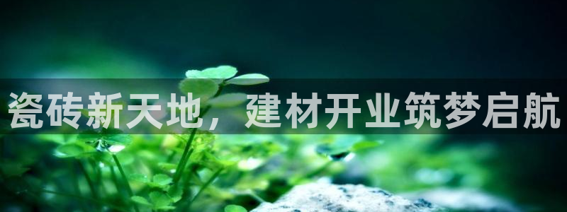 杏鑫平台直属哪个公司