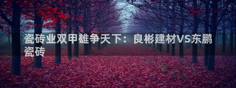 杏鑫平台官方网站