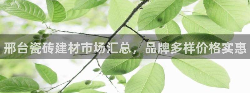 杏鑫平台代理