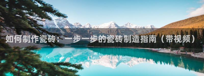 杏鑫平台代理怎么样啊