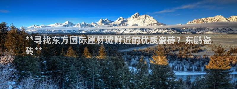 杏鑫平台登录地址查询