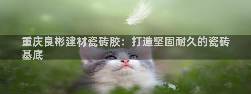杏鑫官网注册账号怎么注册