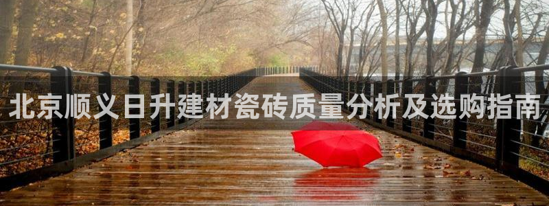 杏鑫平台注册地址是哪里