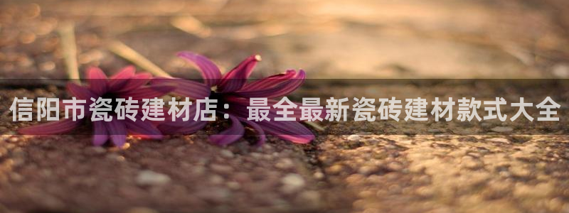杏鑫注册登录平台是什么