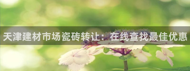 杏鑫平台注册网址是什么