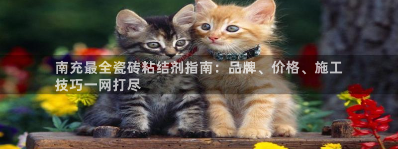 杏鑫平台正规吗