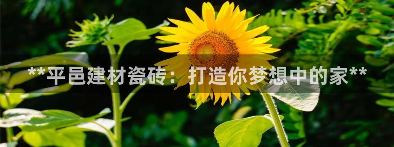 杏鑫平台怎么样黑钱吗安全吗是真的吗
