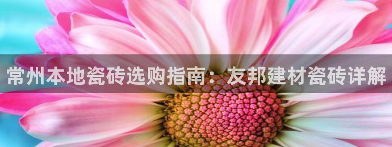 杏鑫平台是黑平台吗