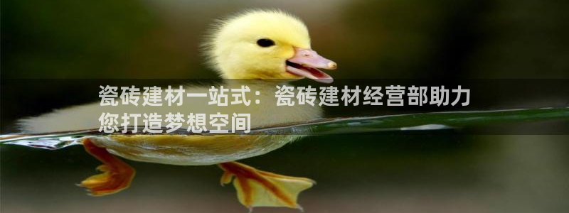 杏鑫平台招商电话是多少