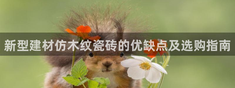 杏鑫有亏损返点吗