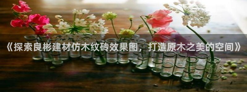 杏鑫娱乐开发团队
