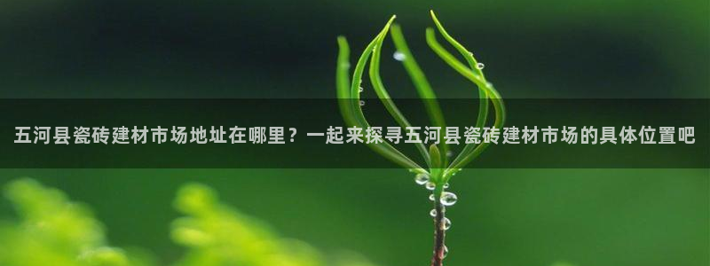 杏鑫平台官方网站