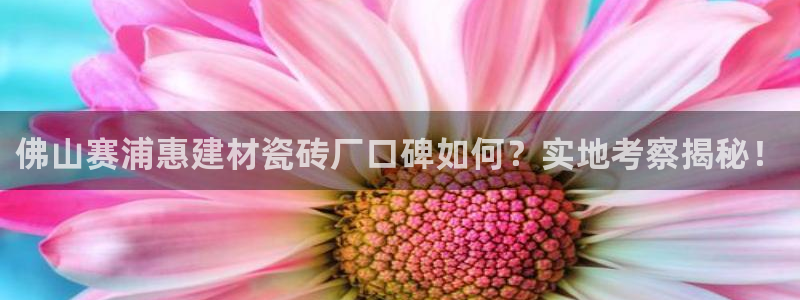杏鑫娱乐怎么下