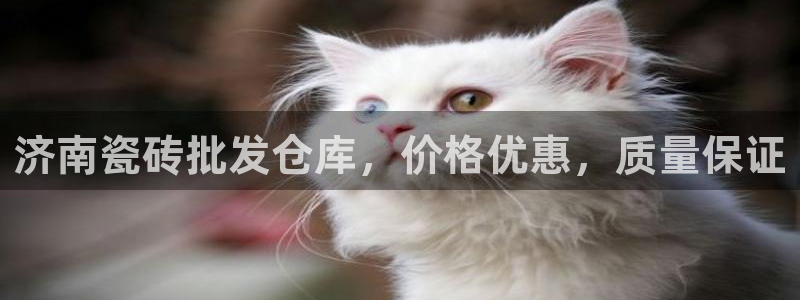 杏鑫平台怎么样黑钱吗安全吗是真的吗
