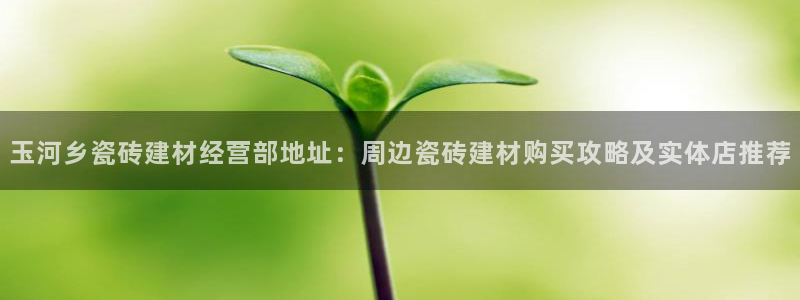 杏鑫平台招商怎么样