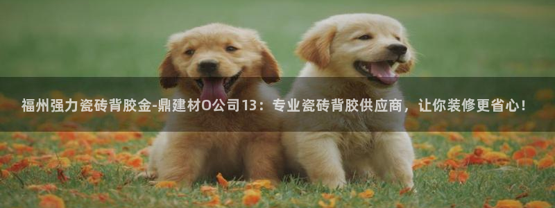 杏鑫平台代理怎么样