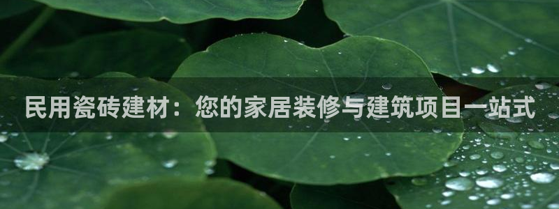 杏鑫平台招商电话是多少