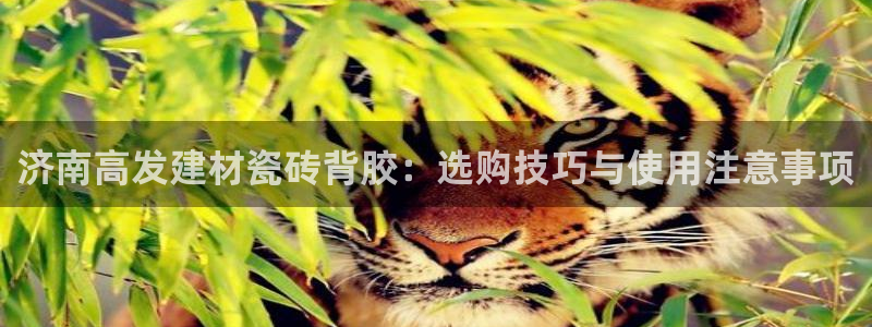 杏鑫平台怎么样
