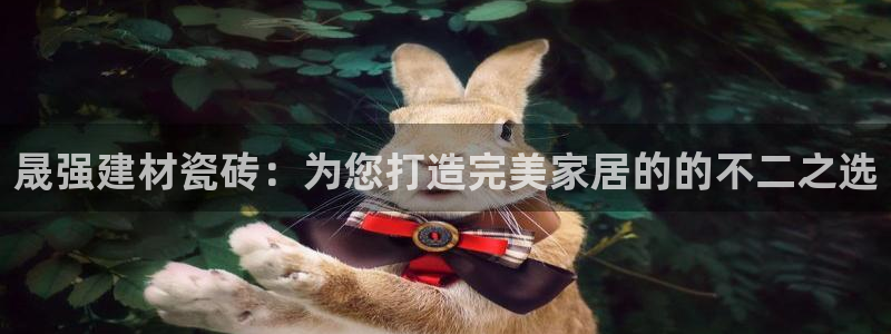 杏鑫3主管