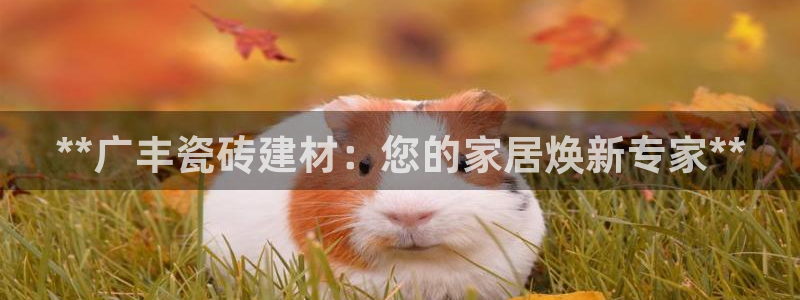 杏鑫平台怎么样知乎